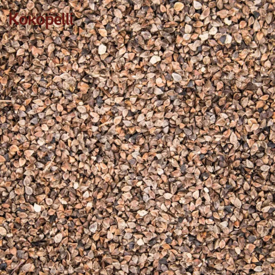 Grains de sarrasin