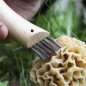 OPINEL N°8 champignon