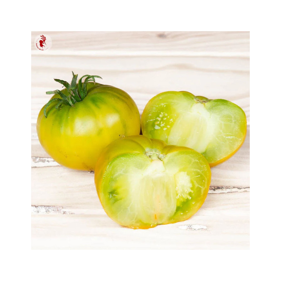 Tomate Green Velvet verte - Kokopelli Tomate Green Velvet verte - Kokopelli