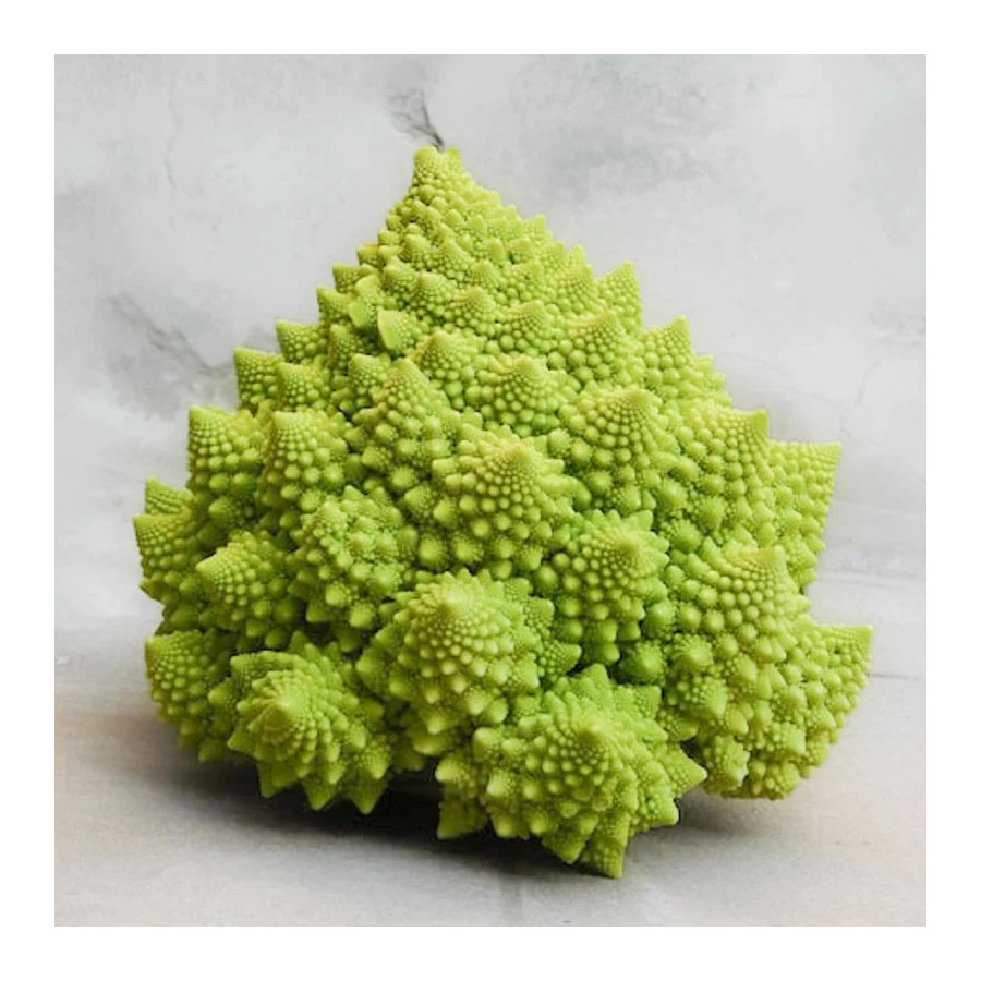 Chou Brocoli Romanesco - Kokopelli Chou Brocoli Romanesco - Kokopelli